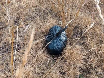 В заказнике Бурятии задержали автомобиль с коноплёй