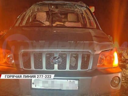 "Горячая линия" 277-222