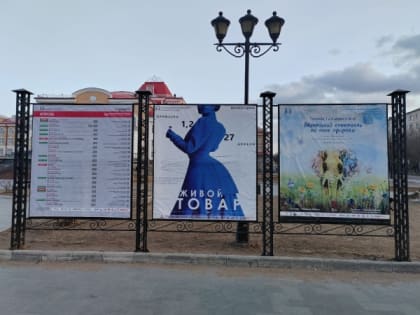 В Бурятии уволена директор Русского драматического театра Наталья Светозарова