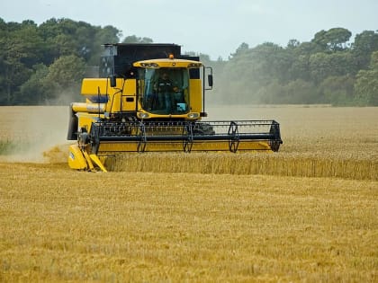 В Джидинском районе Бурятии выполнили план по заготовке кормовых культур