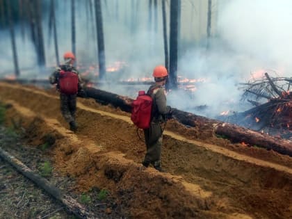 В Бурятии усилено патрулирование лесов в майские праздники