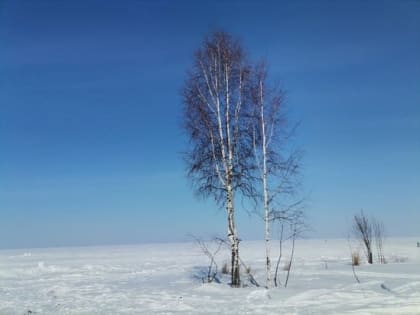 Народные приметы на 22 февраля 2023 года: что нельзя делать в Лаптев день