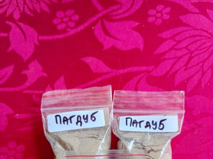 В Курумканском дацане Бурятии  воссоздали легендарный препарат Тибетской медицины