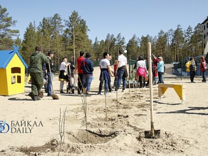Регионы ДФО присоединятся к всероссийской акции «Сады памяти»