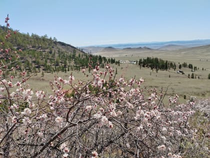 Погода в Бурятии 26 мая 2023 года