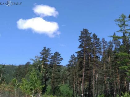 В Бурятии в аренду сдали участок, принадлежащий государству