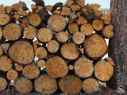 В Бурятии усиленно думают, что делать с дикими ценами на дрова