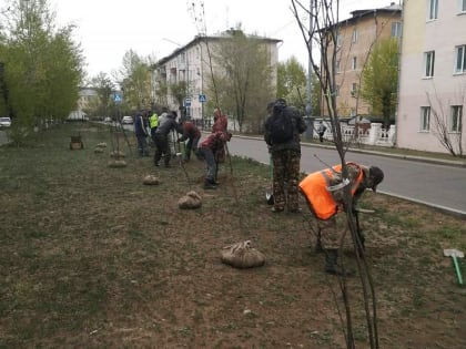 Жители Улан-Удэ два года ждали, когда озеленят одну из центральных улиц города