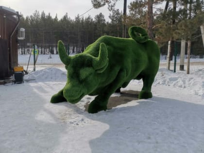 Бык с Уолл-Стрит принес достаток в Этнографический музей