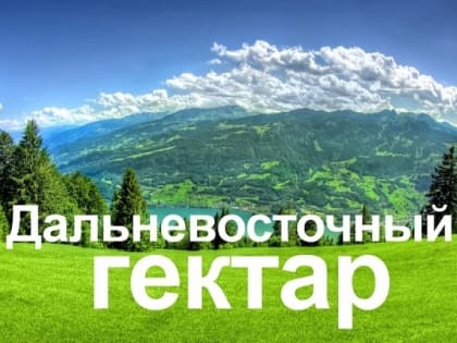 Приняты поправки в закон о «Дальневосточном гектаре», теперь её участникам не надо подавать декларацию об освоении своего земельного участка