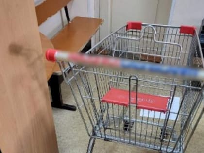 В Улан-Удэ индивидуальный предприниматель попался на краже тележки из супермаркета