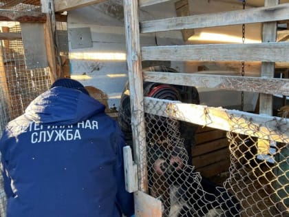 В Тарбагатайском районе Бурятии введен карантин по бешенству