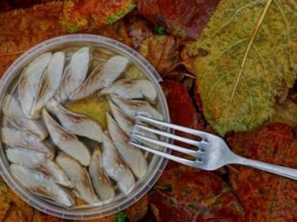 В Бурятии 12 предприятий торговали поддельной рыбной продукцией