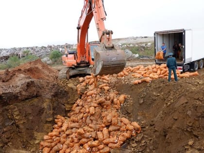 В Иркутске уничтожили 20 тонн заражённой картошки из Китая