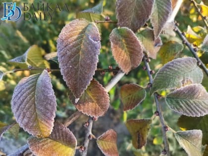 До +18 потеплеет в Бурятии