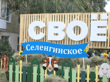 В Бурятии фермеры зарабатывают миллионы на фестивалях «СВОЕ»