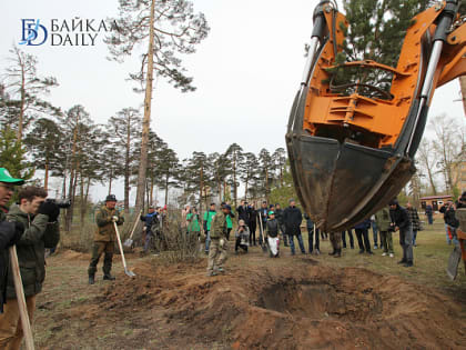 В Улан-Удэ началась посадка ещё 15 тысяч саженцев