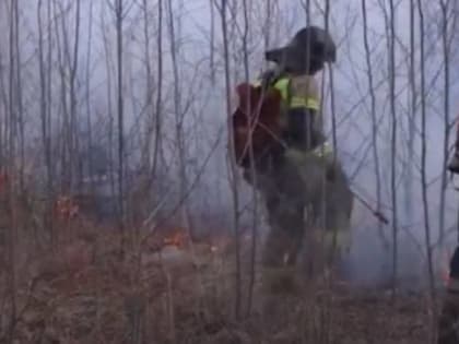 На Дальнем Востоке начался пожароопасный сезон