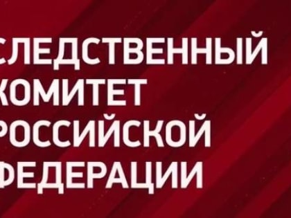 Бастрыкин проконтролирует дело о девочке, которой оторвало руки взрывом в Иркутской области