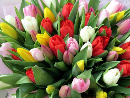 Поздравление министра образования и науки Республики Бурятия Валерия Позднякова с Международным женским днем 8 Марта