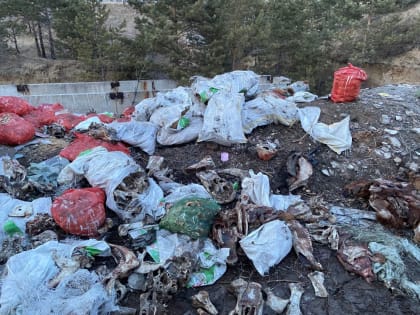 В Улан-Удэ ликвидирована свалка биологических отходов