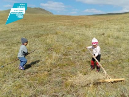 Соцrонтракт в Бурятии помогает расширять личные подсобные хозяйства