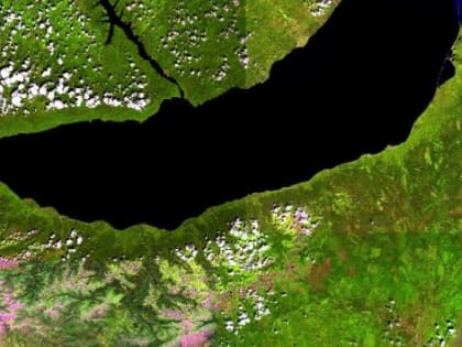 Состояние лесов Бурятии проконтролируют из космоса