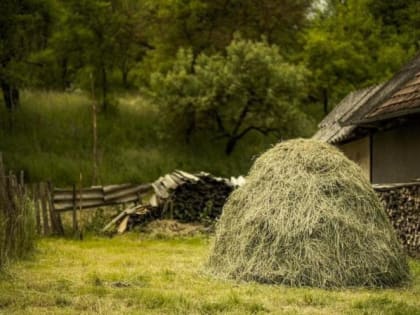 Народные приметы на 13 августа 2023 года: что нельзя делать в Евдокимово заговенье. Нельзя отказывать в помощи, особенно родным