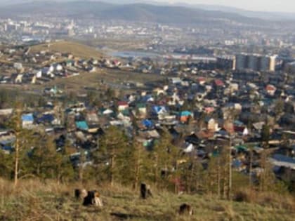 В Улан-Удэ с начала сезона произошло два лесных пожара