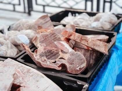 Заготовка мяса на продажу по новым правилам: Галсан Дареев ответил на вопросы жителей Бурятии в прямом эфире