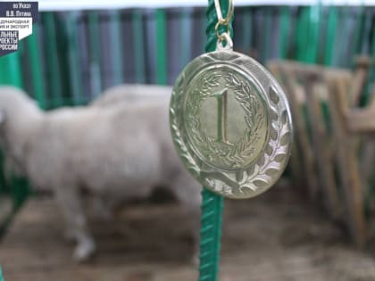 В Бурятии спустя много лет открылась выставка племенных сельхозживотных «Байкал Агро»