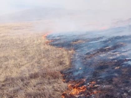 В Бурятии огонь с горящей травы едва не перекинулся на дома