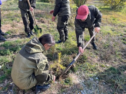 Лучший подарок для нашего президента - добрые дела