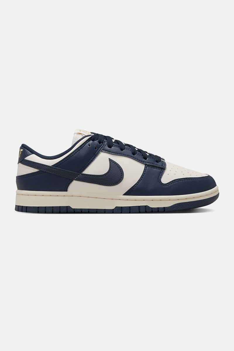 Nike Dunk Low Background Image