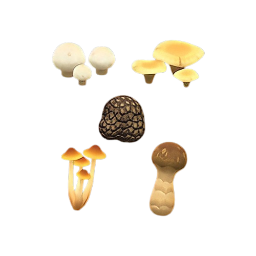 Mushroom Set in Animal Crossing New Horizons