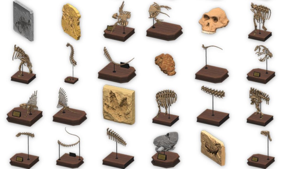 All Fossils Set in Animal Crossing New Horizons