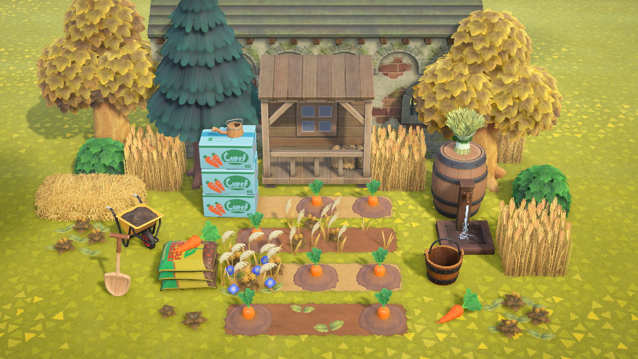 Carrot Patch Collection in Animal Crossing New Horizons