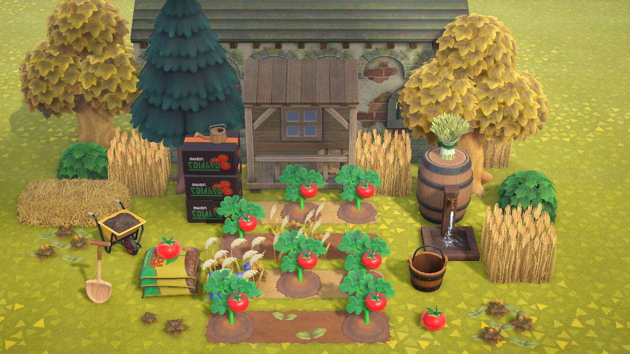Tomato Patch Collection in Animal Crossing New Horizons