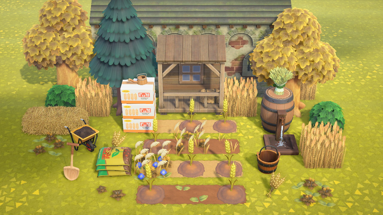 Wheat Patch Collection in Animal Crossing New Horizons