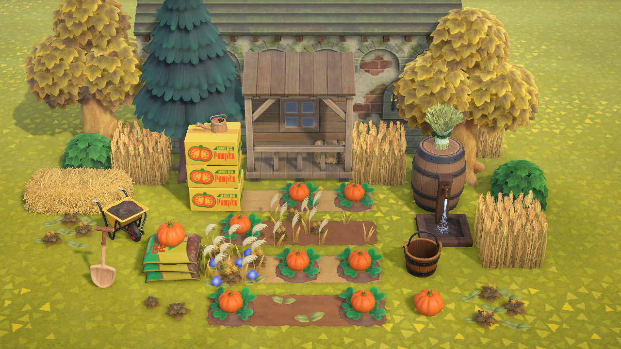 Pumpkin Patch Collection in Animal Crossing New Horizons
