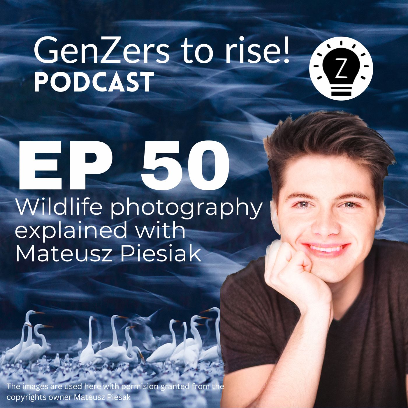 Wildlife photography explained with Mateusz Piesiak