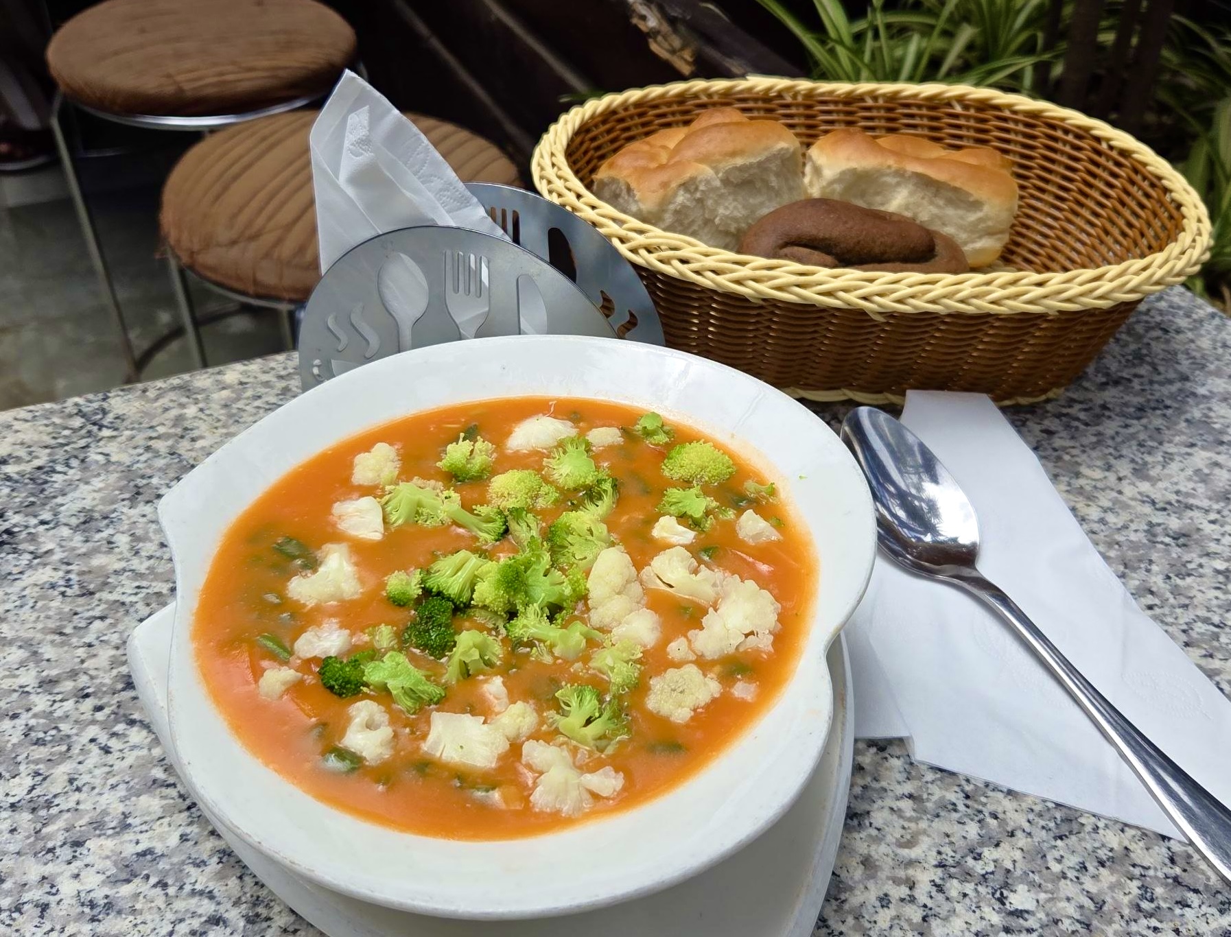 Mixed Vegetable Soup