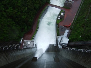 上から見た放流