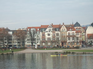 Neckar 河畔の芝地