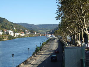 Neckar川沿いの道路