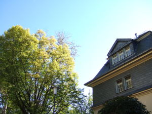 屋根の上の青い空２