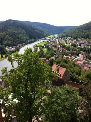 Hirschhorn