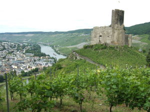 Burgruine Landshut