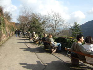 哲学の道のベンチ