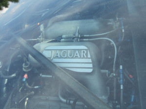 Jaguar エンジン２